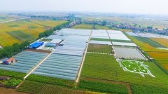 湖北荆州：新增蔬菜生产基地近1300亩