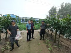 湖北省农科院果茶所特色果团队赴公安县开展灾后调研指导